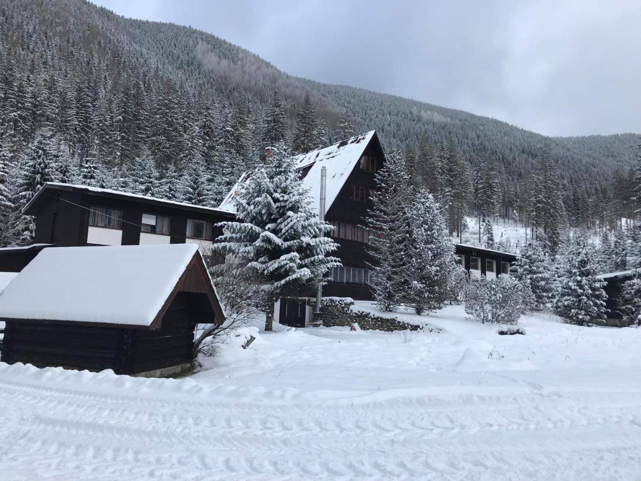 Horska Chata Primula - 1000 M Nad Morom Zuberec Exterior photo